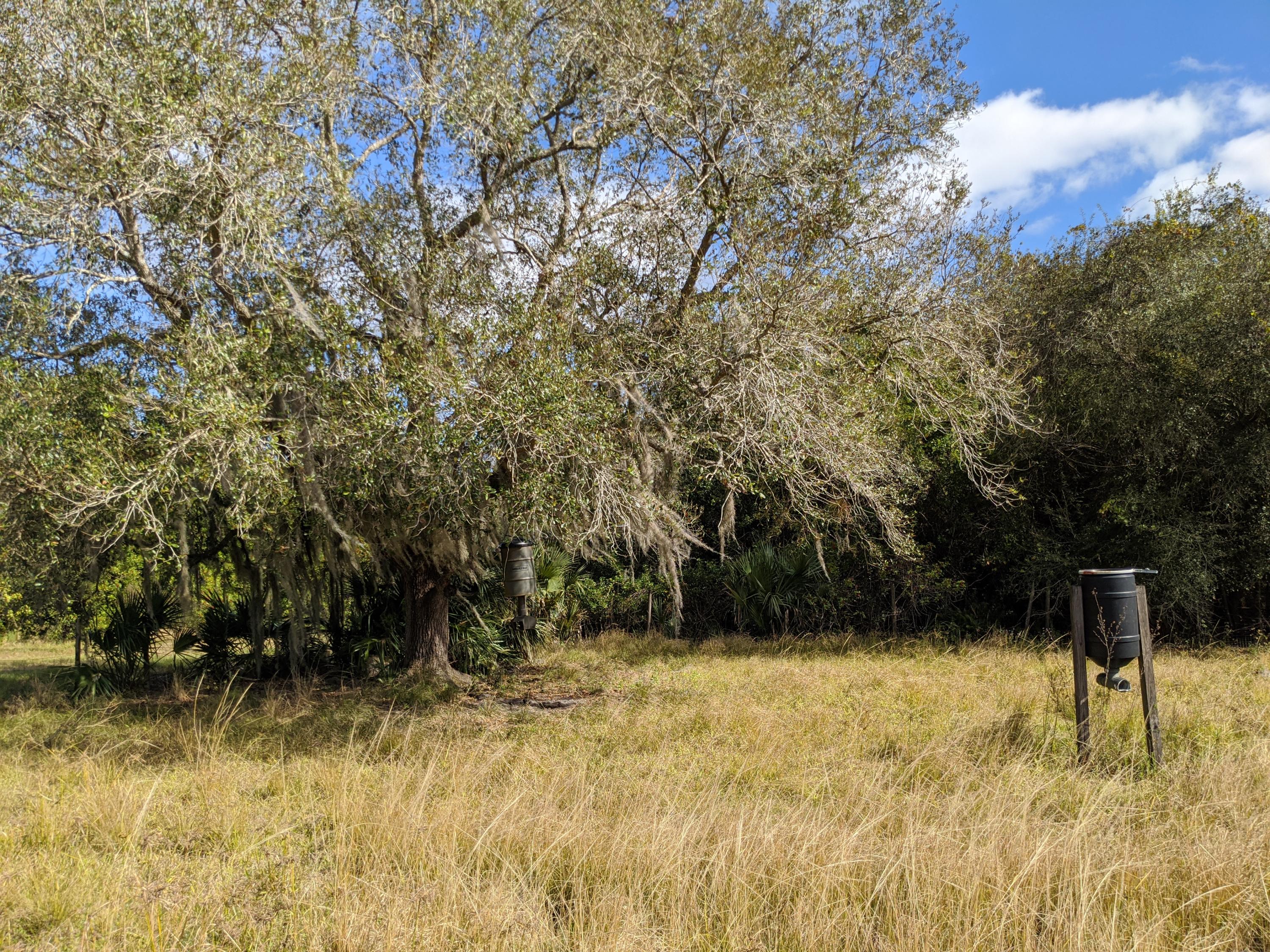 7851 Southwest Fox Brown Road Indiantown, FL 34956 - Photo 11 of 67 IMG_20210109_114552