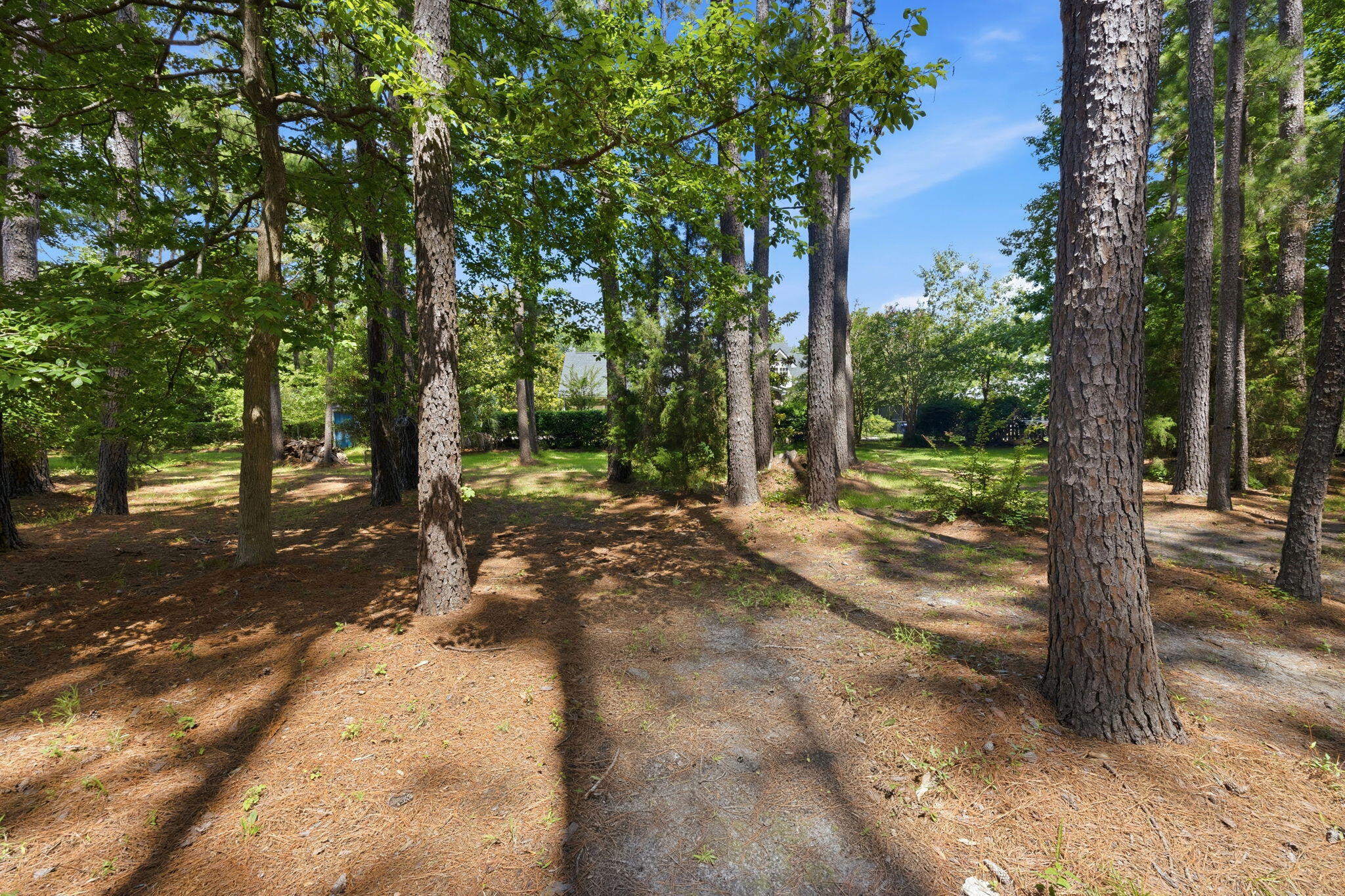 2981 Bennett Charles Road Mount Pleasant, SC 29466 - Photo 47 of 58 51-web-or-mls-470A8454