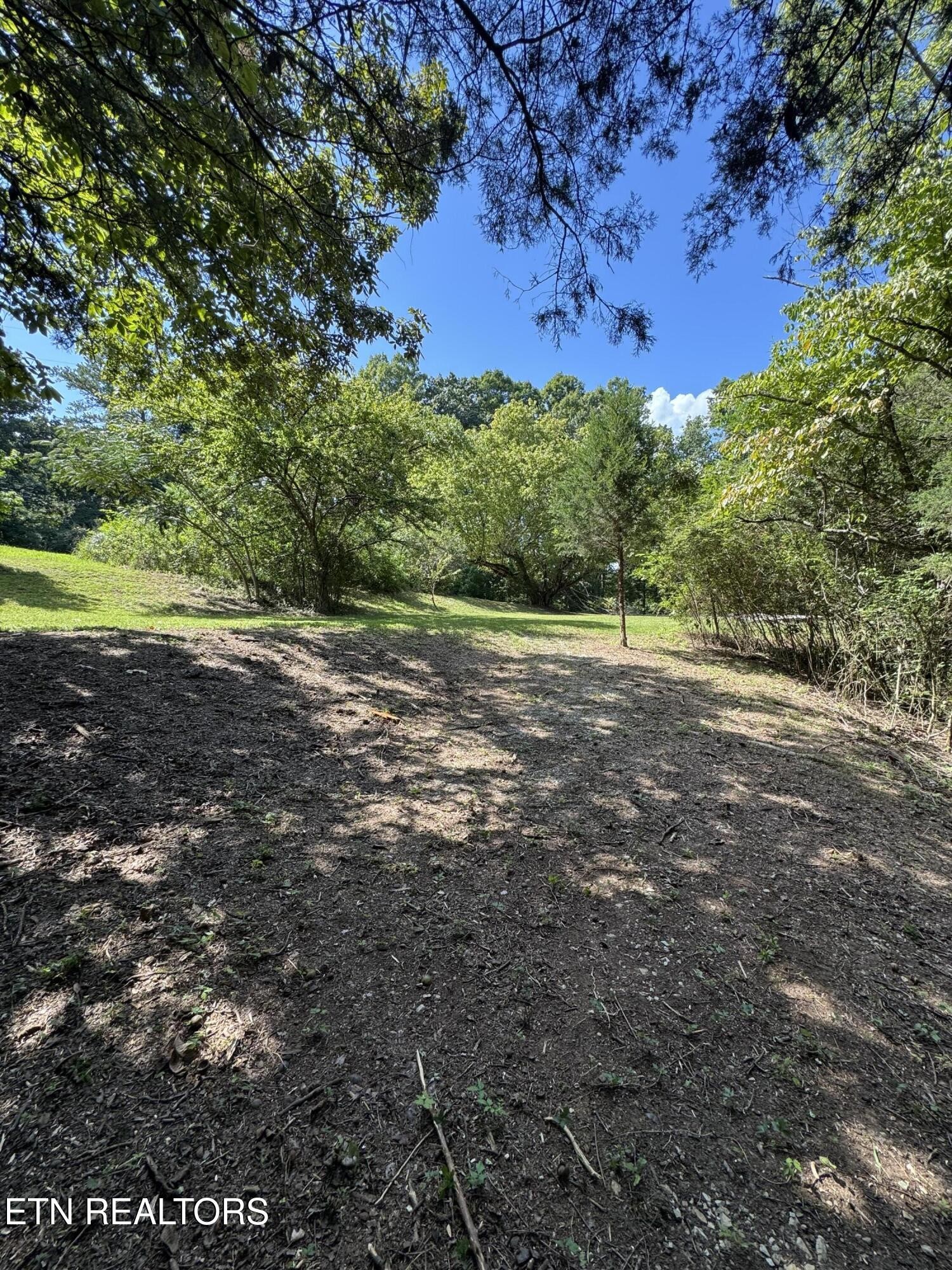 1703 River Road Decatur, TN 37322 - Photo 1 of 15 a view of a yard with a tree