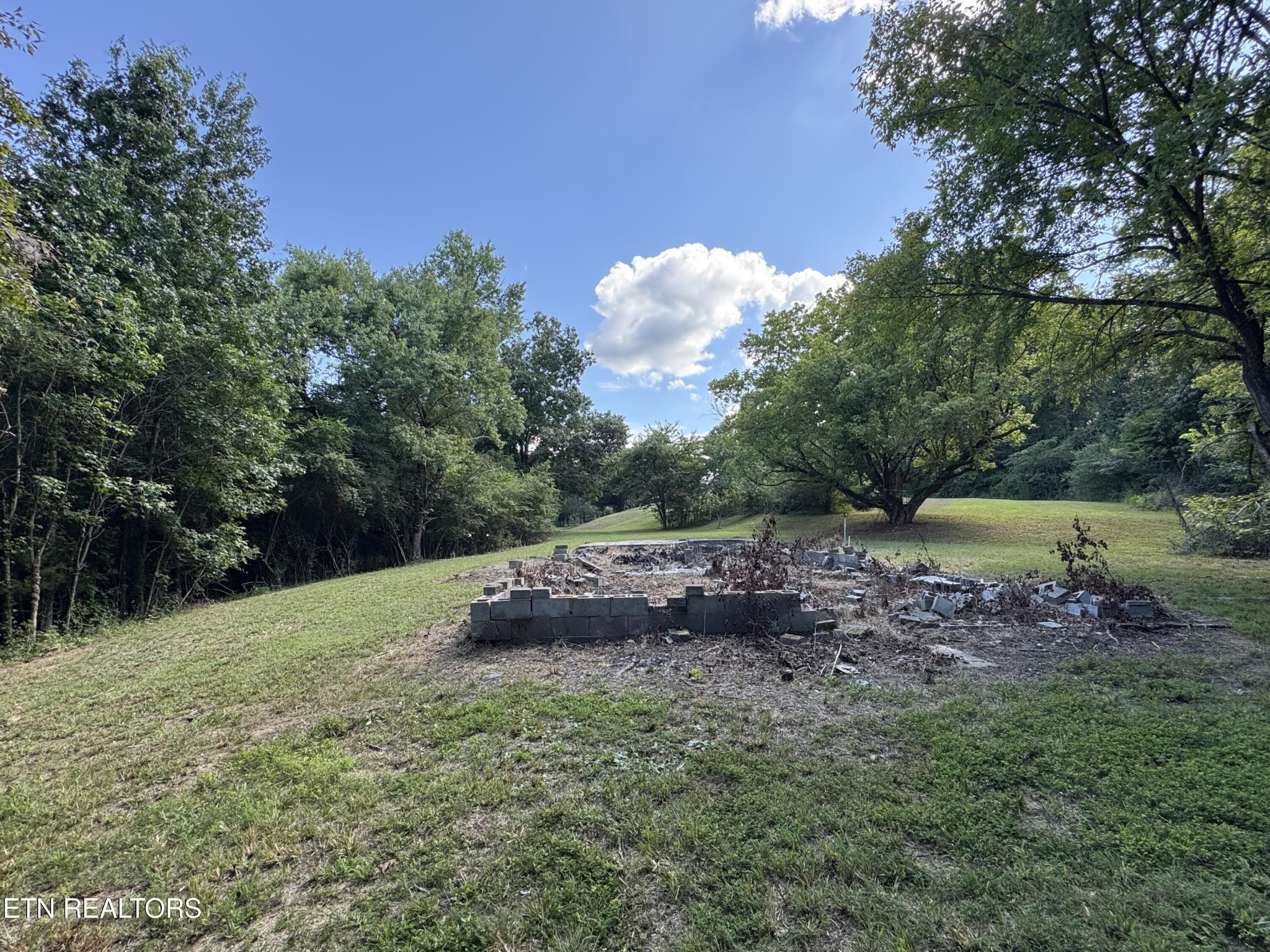 1703 River Road Decatur, TN 37322 - Photo 11 of 15 a big yard with lots of green space