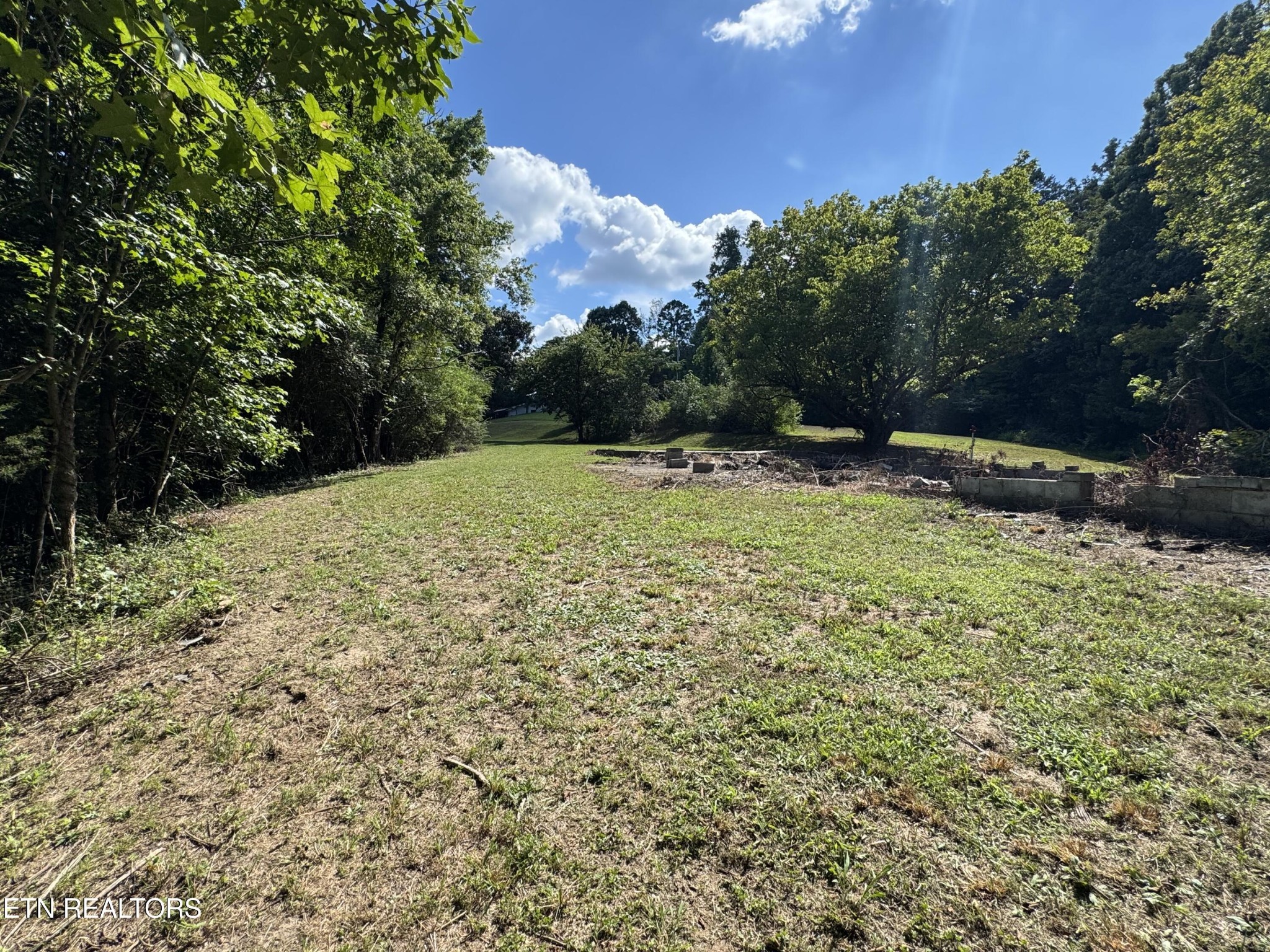 1703 River Road Decatur, TN 37322 - Photo 12 of 15 a view of outdoor space with trees all around