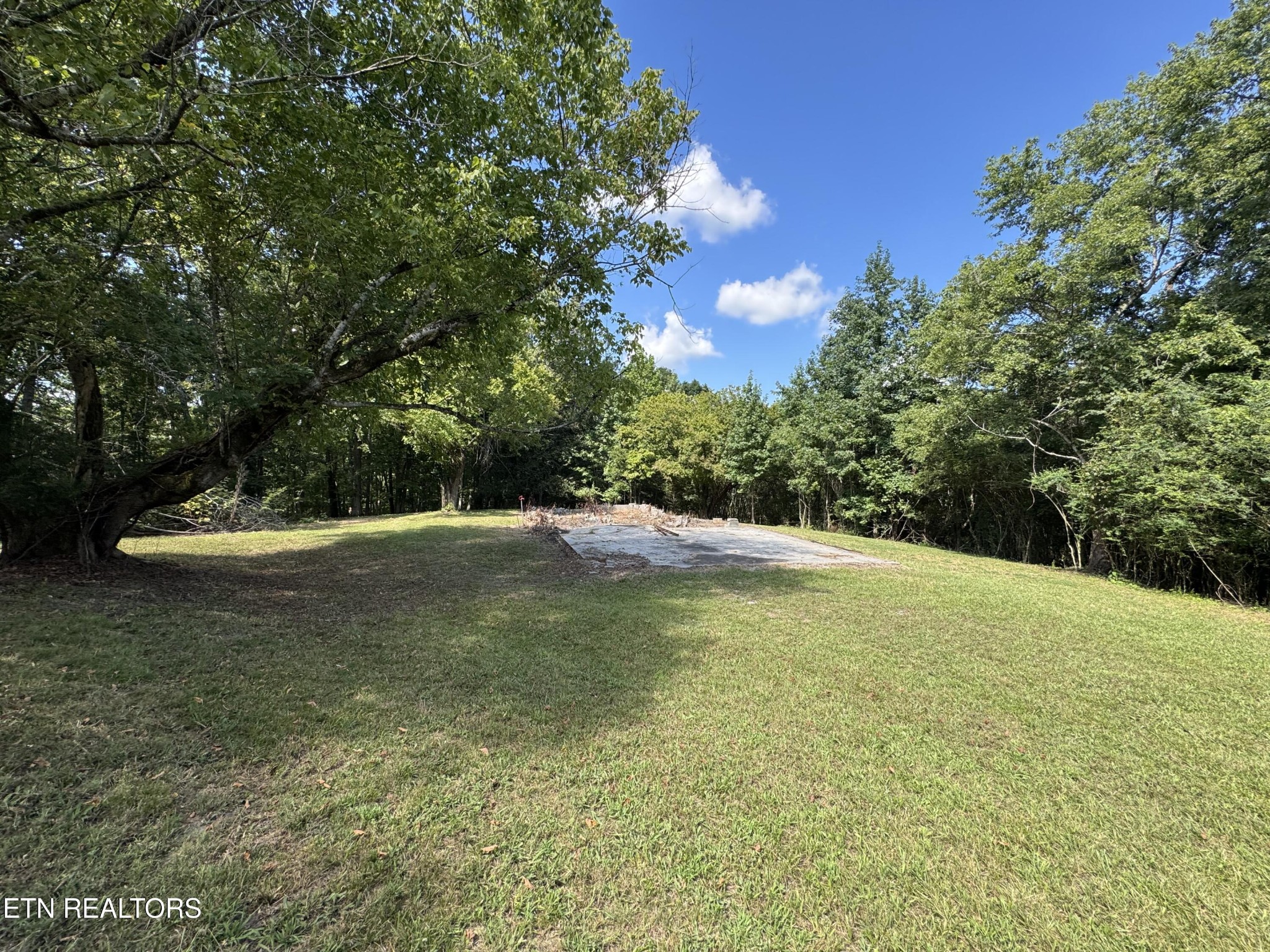 1703 River Road Decatur, TN 37322 - Photo 13 of 15 a view of a outdoor space
