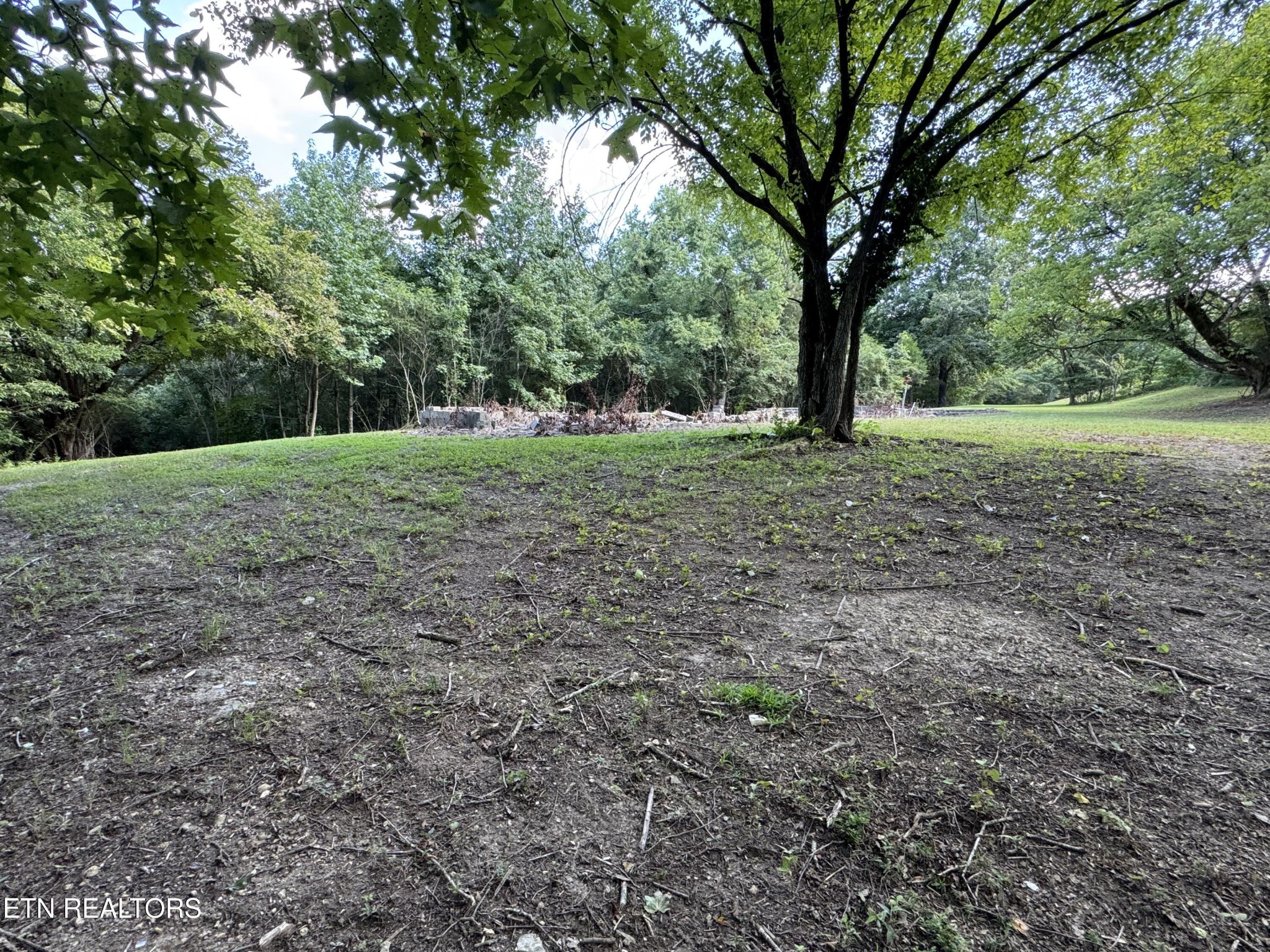 1703 River Road Decatur, TN 37322 - Photo 15 of 15 a view of outdoor space and yard