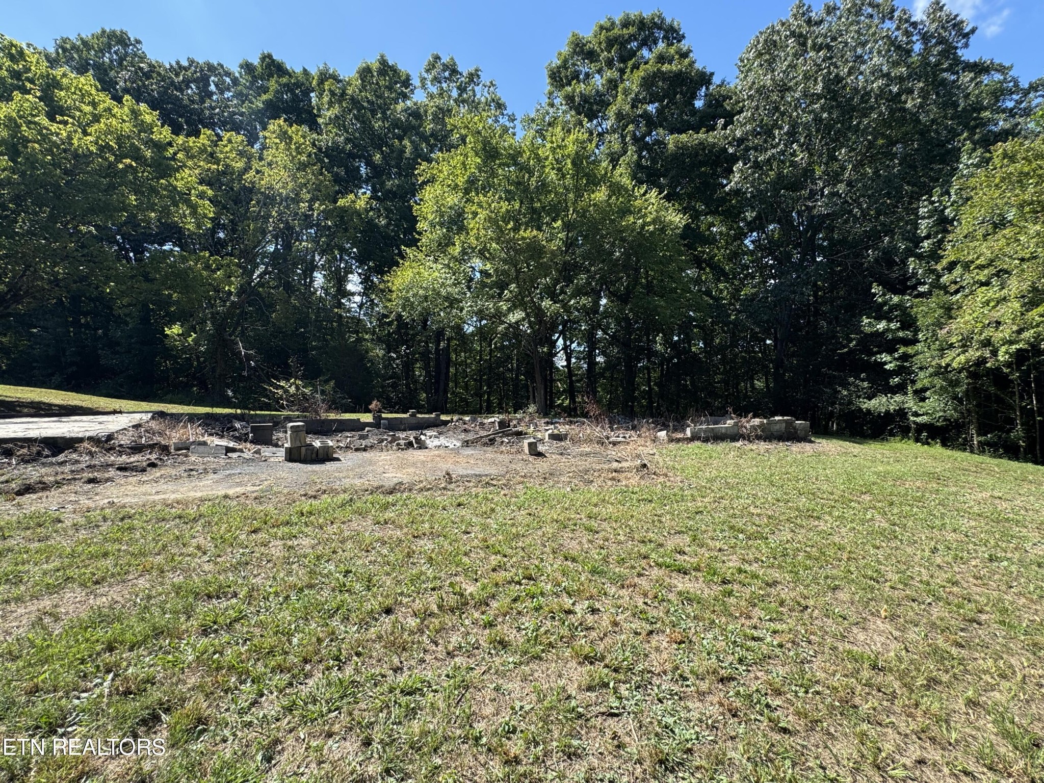 1703 River Road Decatur, TN 37322 - Photo 2 of 15 a view of swimming pool with a yard
