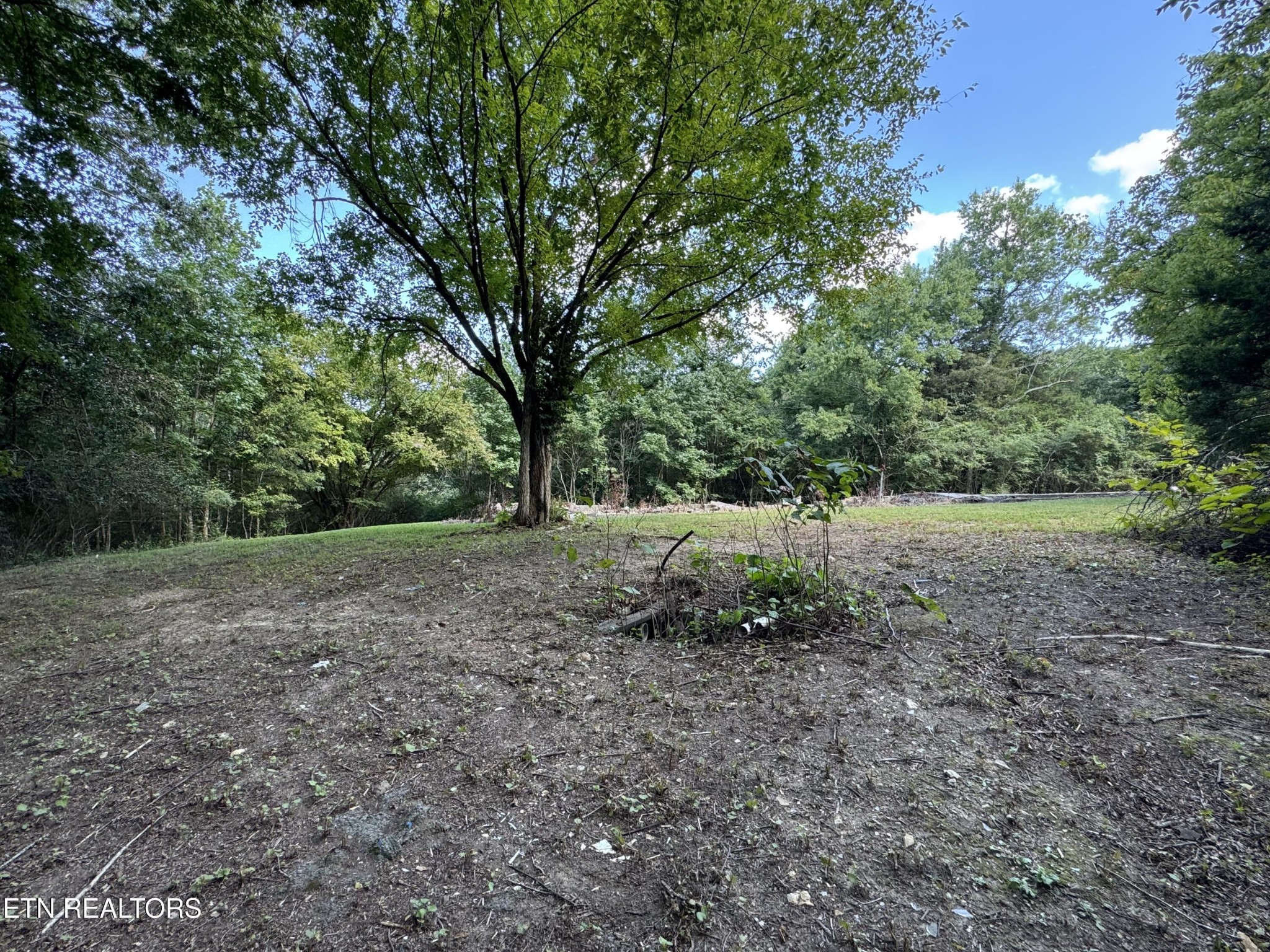 1703 River Road Decatur, TN 37322 - Photo 3 of 15 a view of a yard with a tree