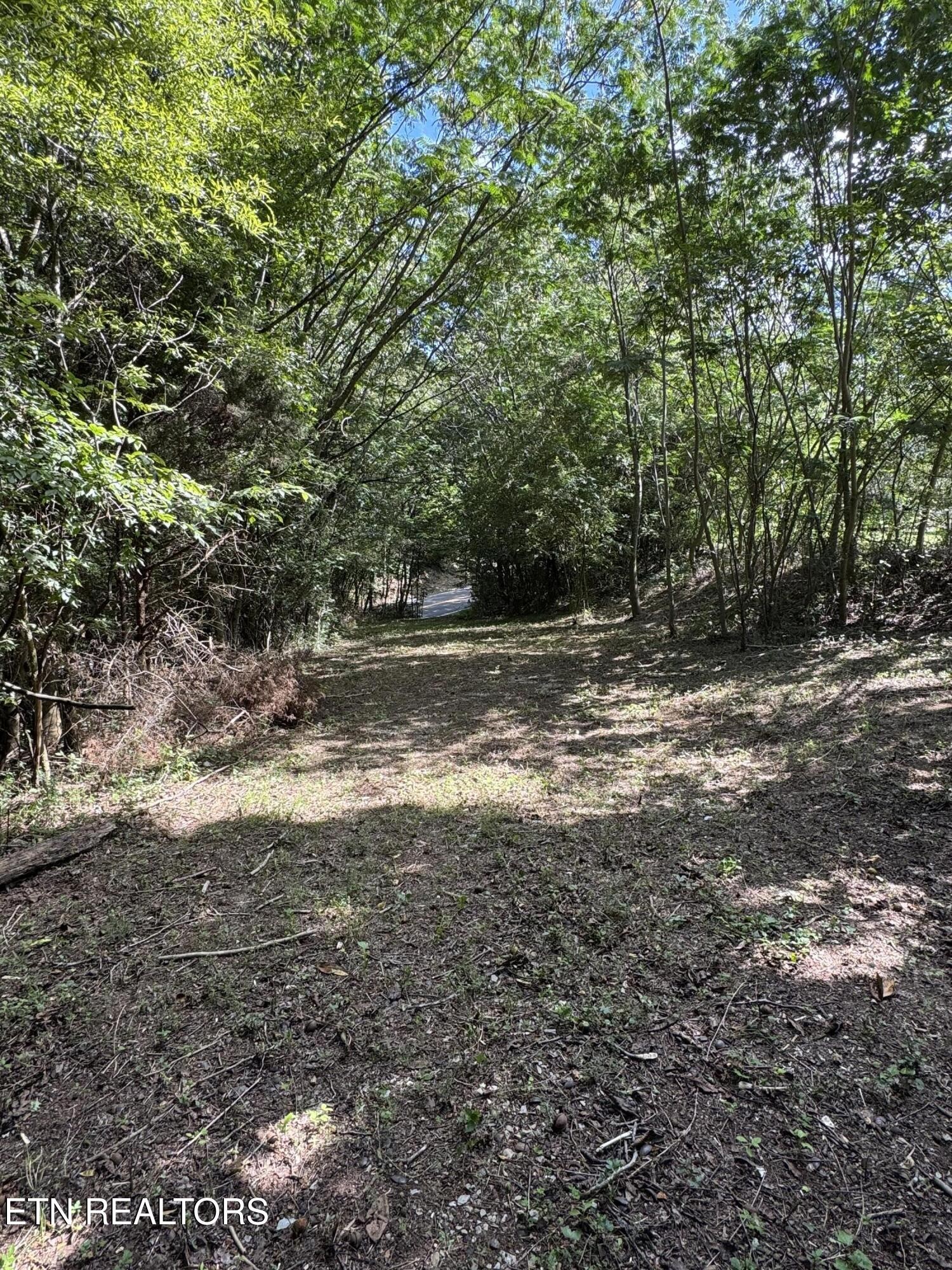 1703 River Road Decatur, TN 37322 - Photo 4 of 15 a view of a yard with a tree