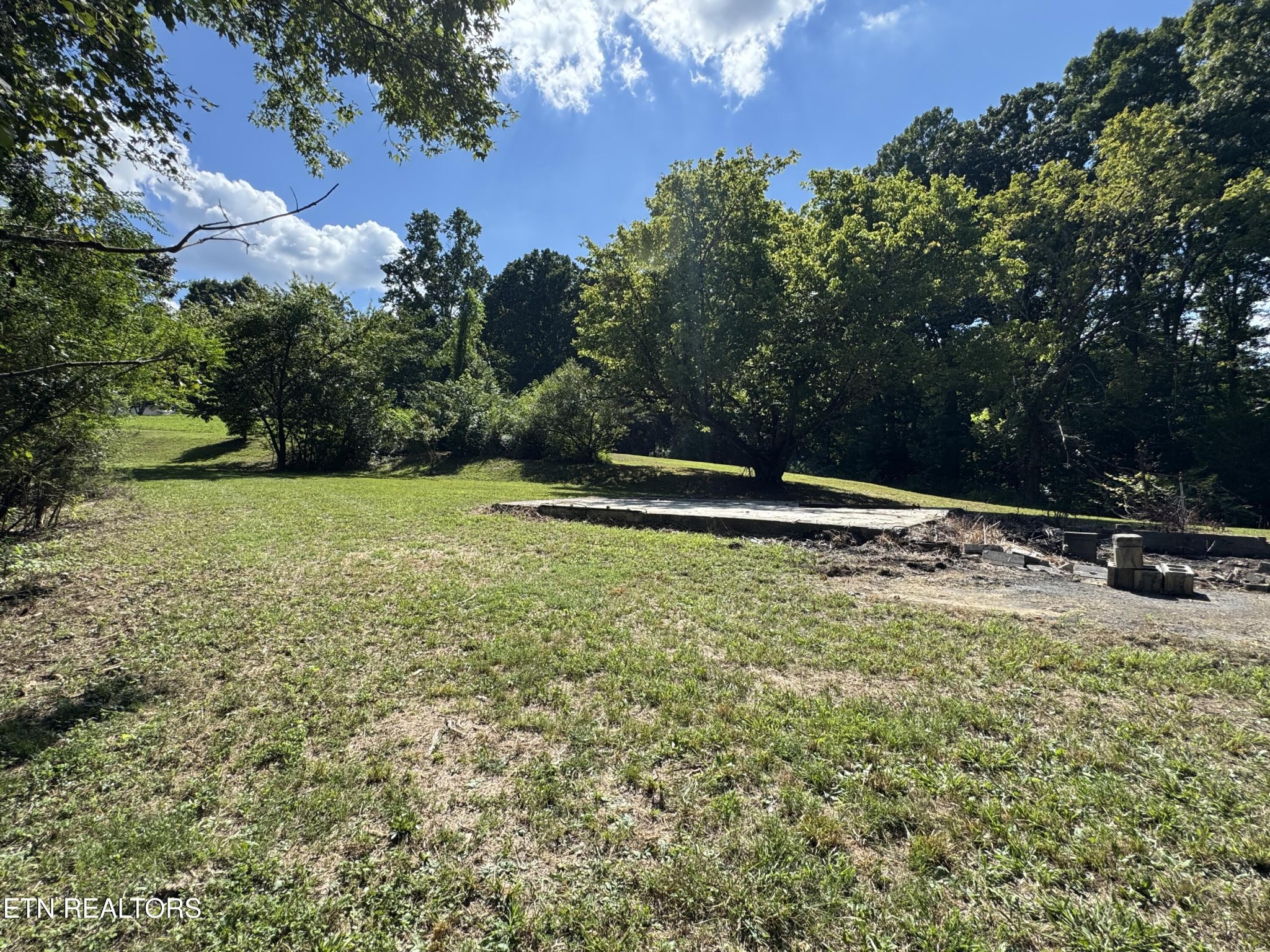 1703 River Road Decatur, TN 37322 - Photo 7 of 15 a backyard of a house with lots of green space