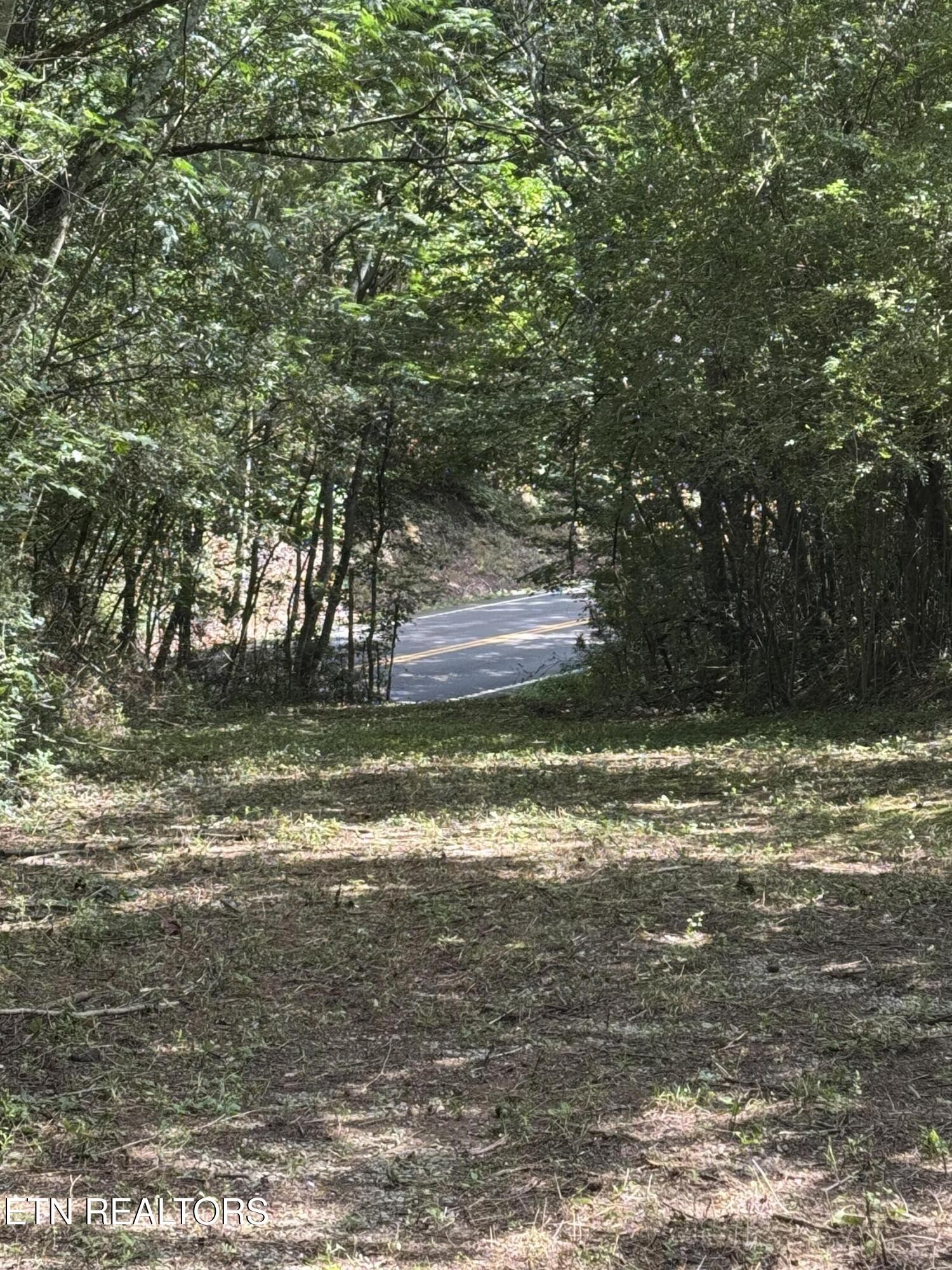 1703 River Road Decatur, TN 37322 - Photo 8 of 15 a view of a ocean view