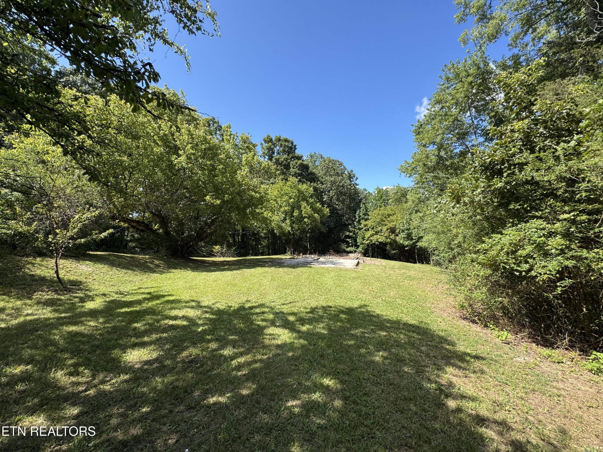 1703 River Road Decatur, TN 37322 - Photo 9 of 15 a view of a yard with a house