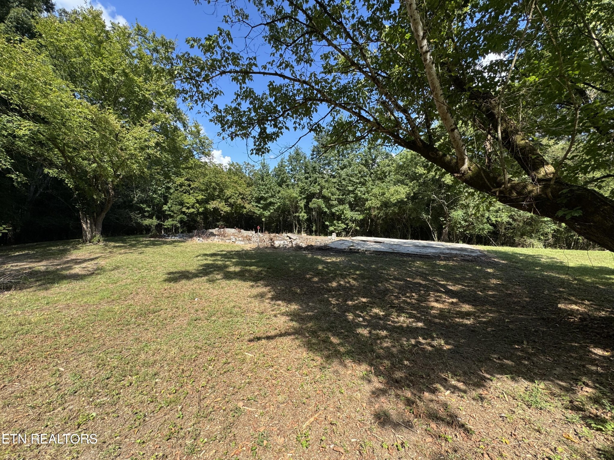 1703 River Road Decatur, TN 37322 - Photo 10 of 15 a view of yard with tree