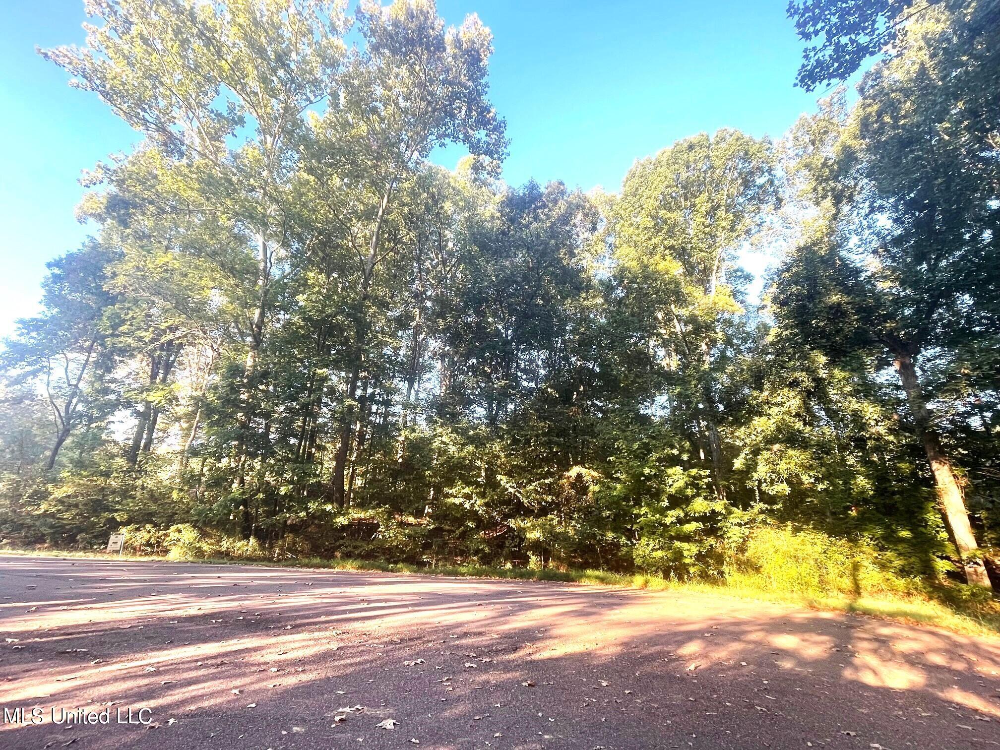 2581 Plank Road Hernando, MS 38632 - Photo 2 of 11 Gray's Creek - Lot 10