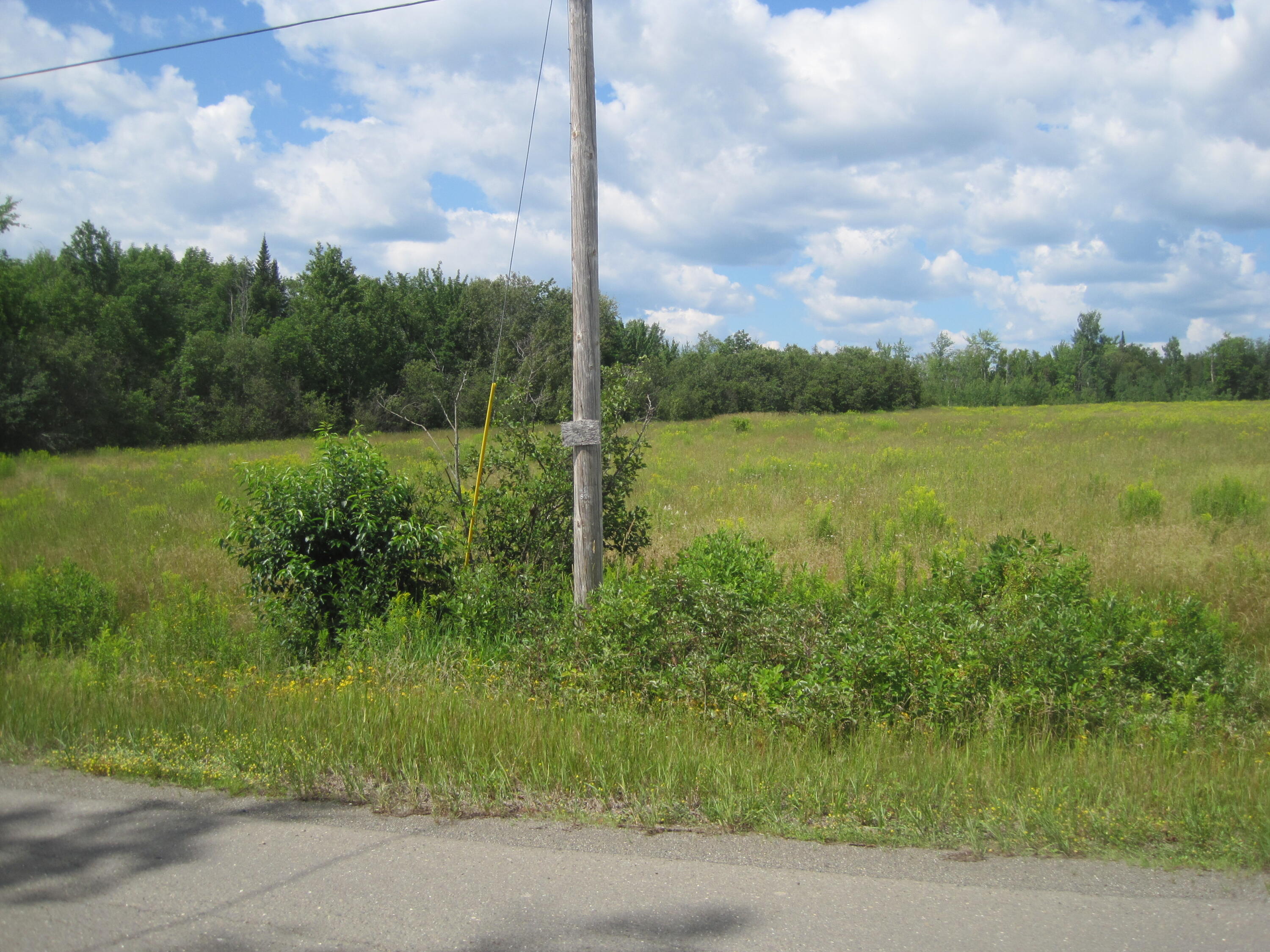 Lot 1 Town Line Road Merrill, ME 04780 - Photo 2 of 7 IMG_0007