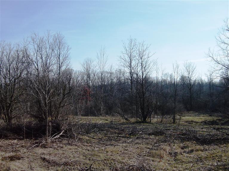 5020 Warren Road Ann Arbor, MI 48105 - Photo 3 of 5 Photo 3