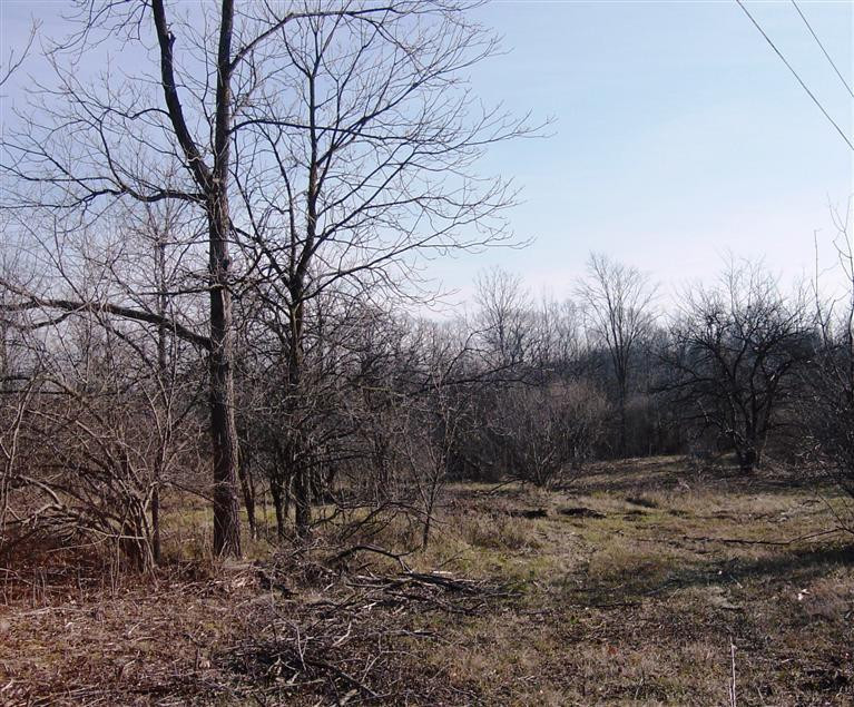 5020 Warren Road Ann Arbor, MI 48105 - Photo 4 of 5 Photo 4