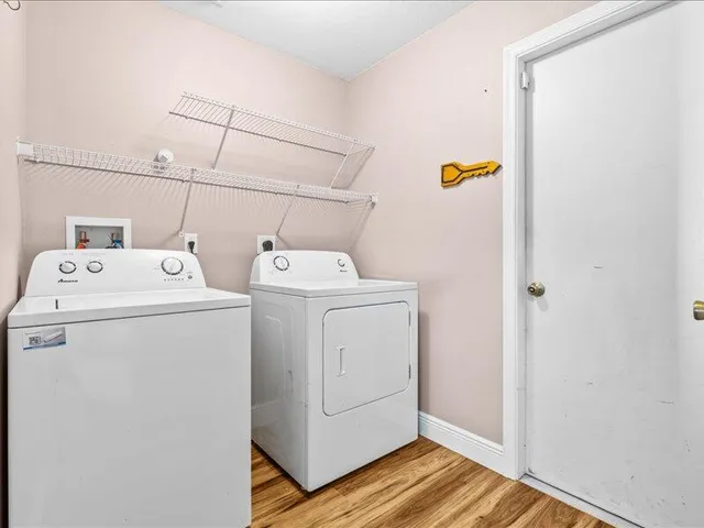 a view of a park with large trees