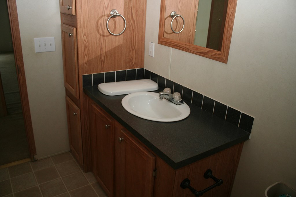 50 Simmons Road Mauk, GA 31058 - Photo 6 of 35 a bathroom with a sink and a mirror