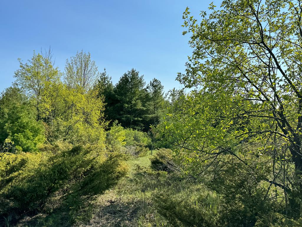 Lot 4 Division Road Egg Harbor, WI 54209 - Photo 3 of 13 Gallery Image 3