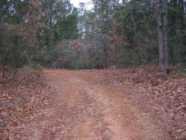 10 Sandy Loam Road Paige, TX 78659 - Photo 1 of 1 Land : Property is on right in this photo, road turns left, but property front (north) line extends straight ahead. Small run down cabin is to right of picture. Body of property is at right of photo. Property goes to centerline of roadway easement.