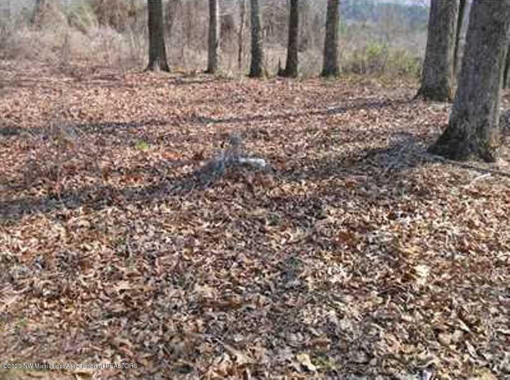 3800 Lamar Road Ashland, MS 38603 - Photo 8 of 38 8