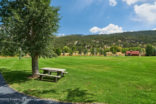 a view of a garden with an outdoor space