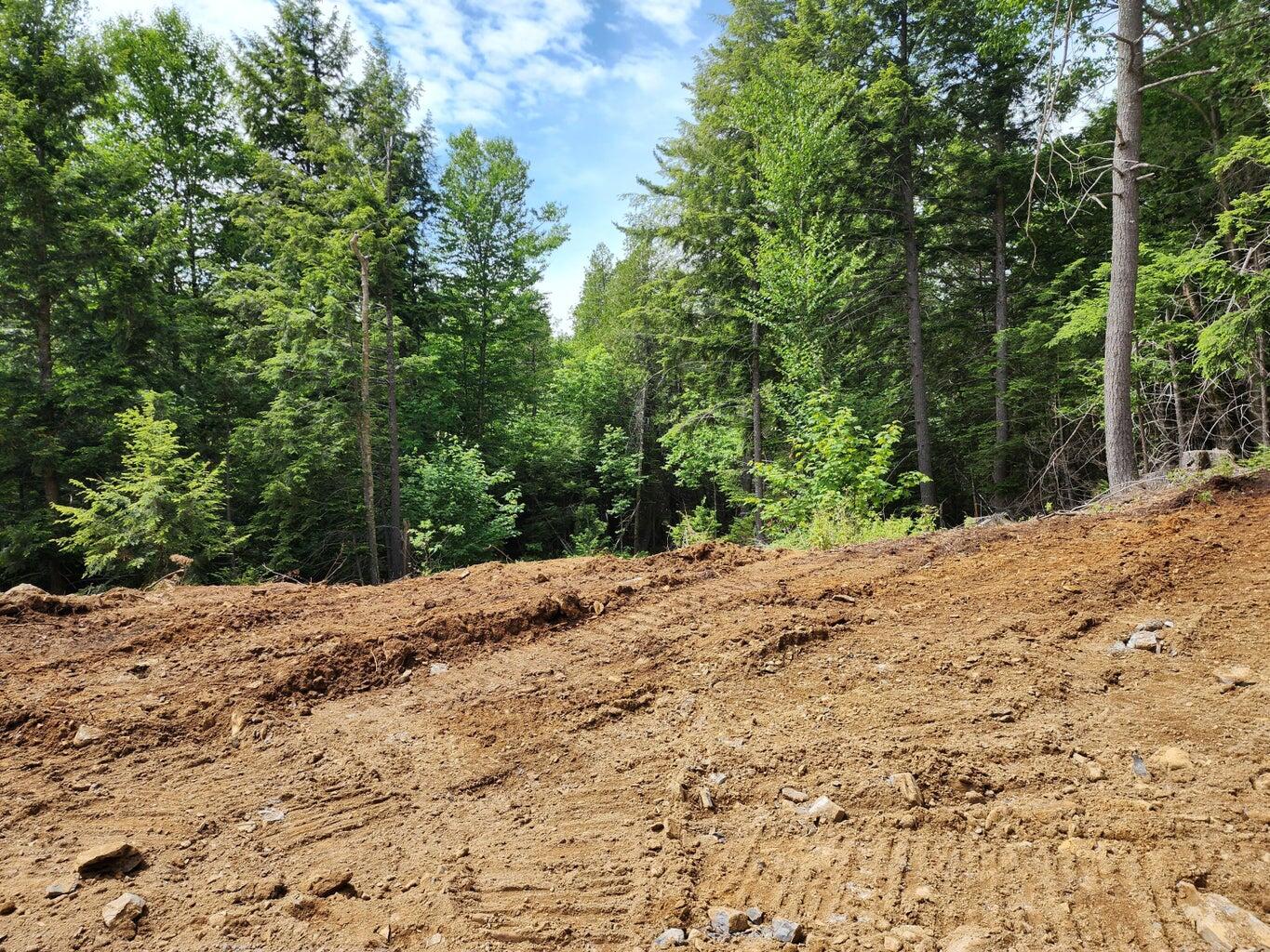 Off Dyer Brook Road Dyer Brook, ME 04747 - Photo 13 of 15 20250628143404656817000000-o (1)