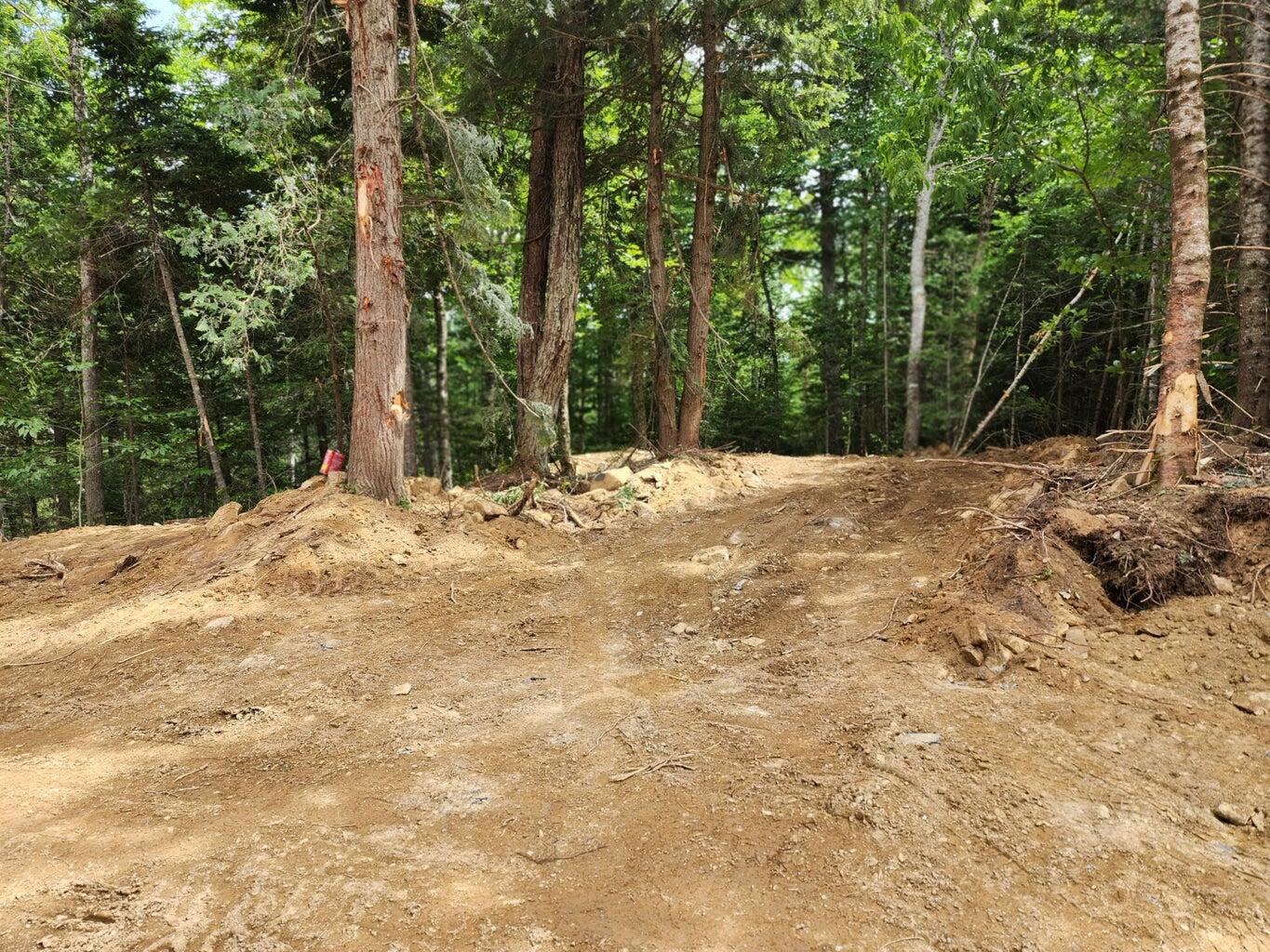 Off Dyer Brook Road Dyer Brook, ME 04747 - Photo 14 of 15 20250628143548326548000000-o