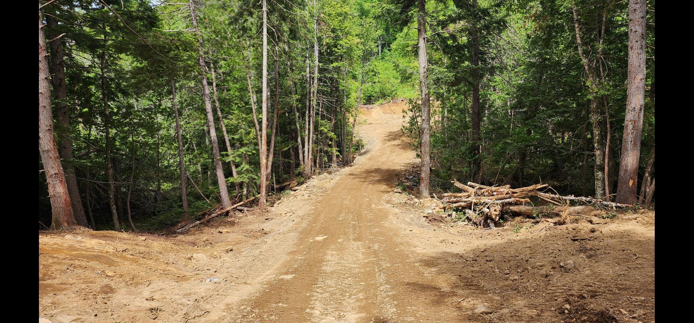 Off Dyer Brook Road Dyer Brook, ME 04747 - Photo 4 of 15 Screenshot_20250628_103718_Photos