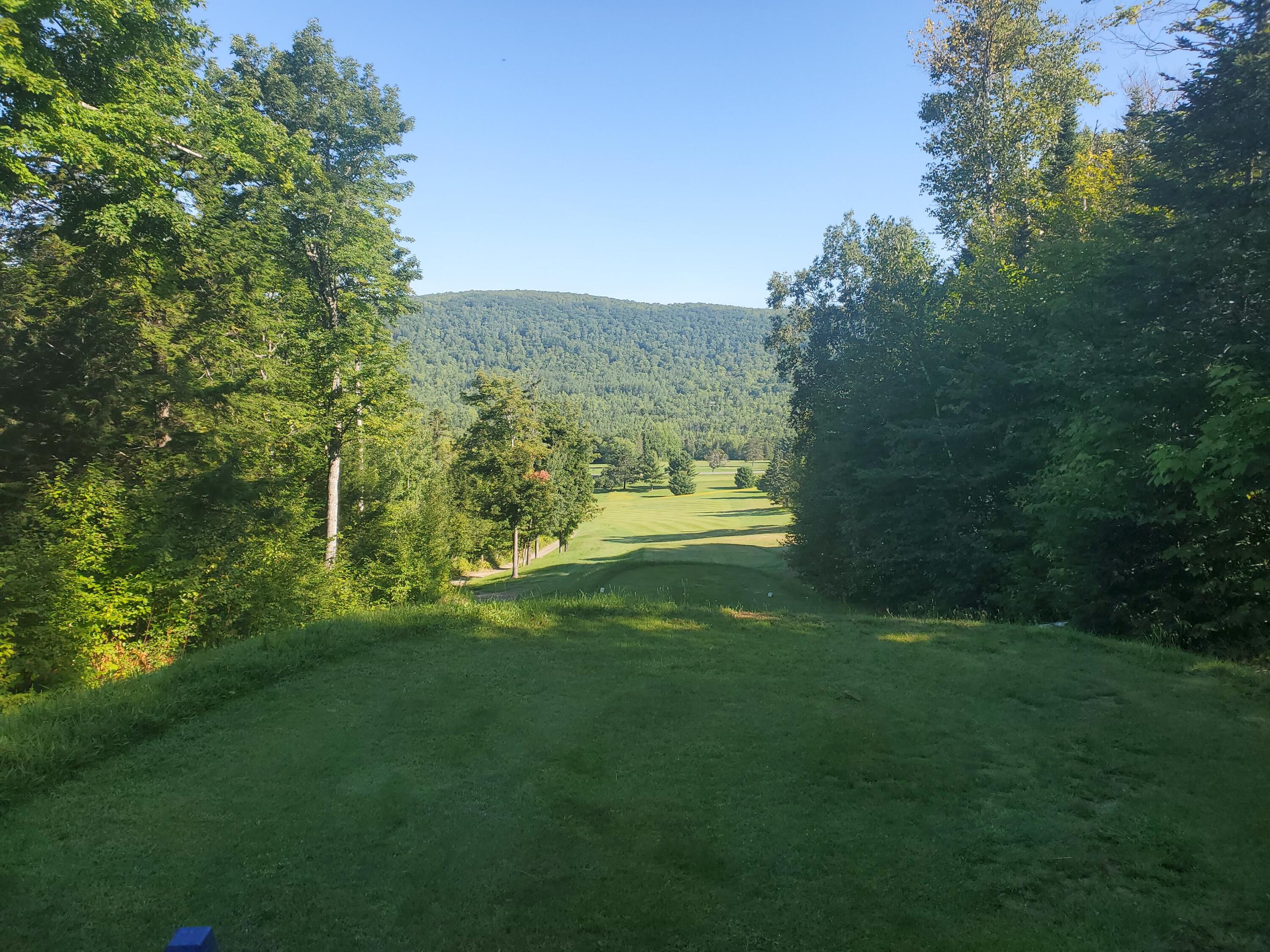 Off Dyer Brook Road Dyer Brook, ME 04747 - Photo 9 of 15 20220821_090014