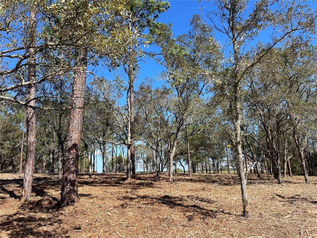 25 Southwest Timberlake Road Dunnellon, FL 34431 - Photo 7 of 27
