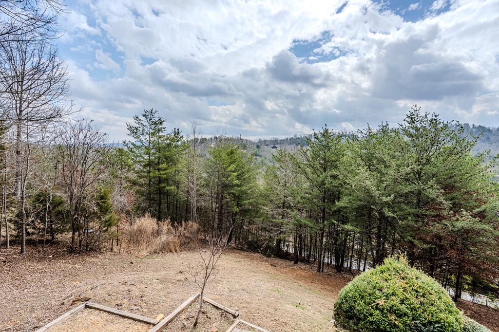 210 Pin Oak Ridge Murphy, NC 28906 - Photo 38 of 51 a view of a pathway both side of yard