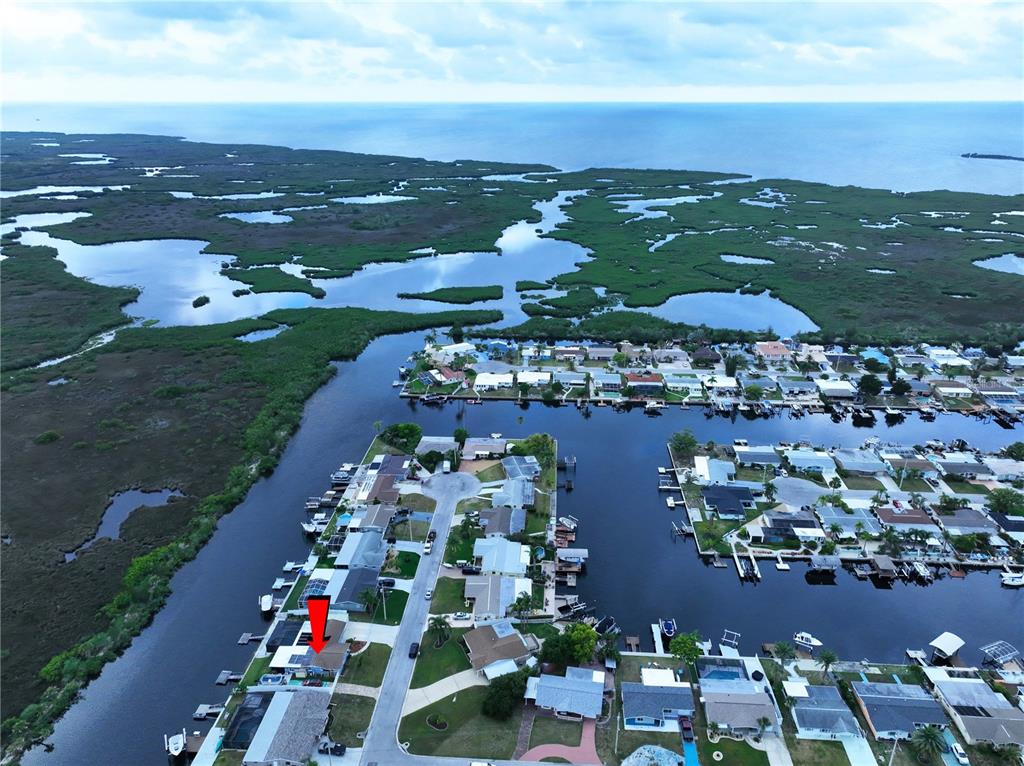 6536 Leeside Isle Hudson, FL 34667 - Photo 77 of 78
