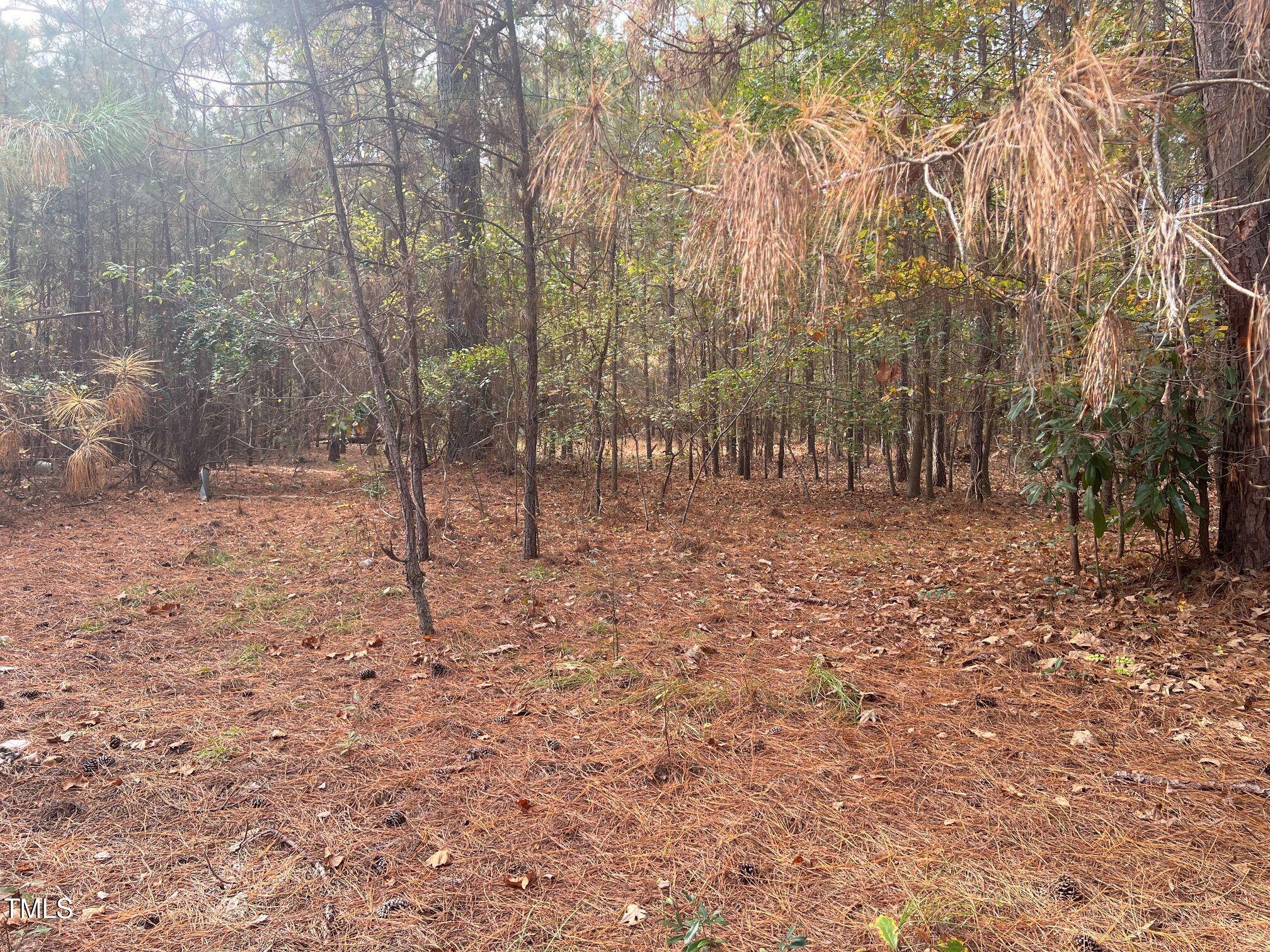 313 Hendrix Road Raeford, NC 28376 - Photo 10 of 15 9. IMG_6676