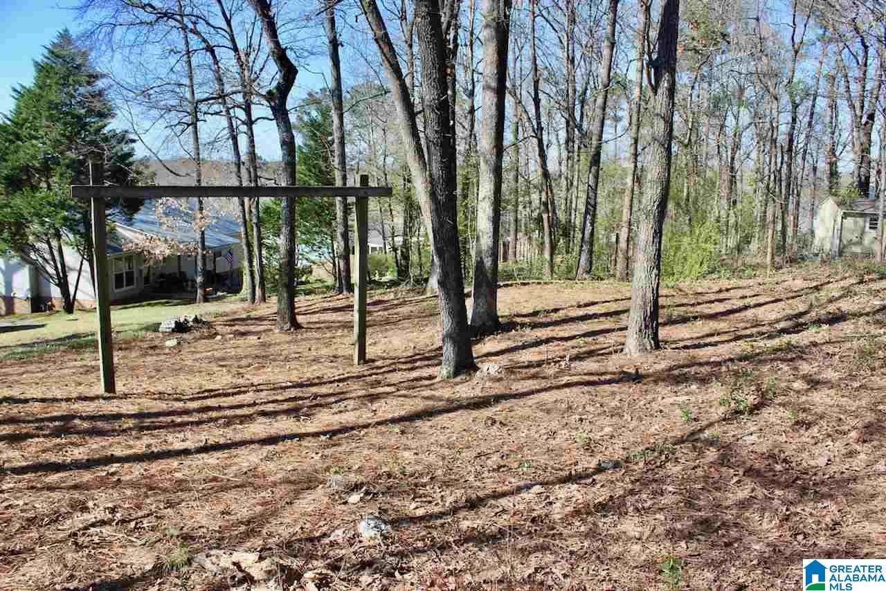 1058 Independence Court Alabaster, AL 35007 - Photo 31 of 35