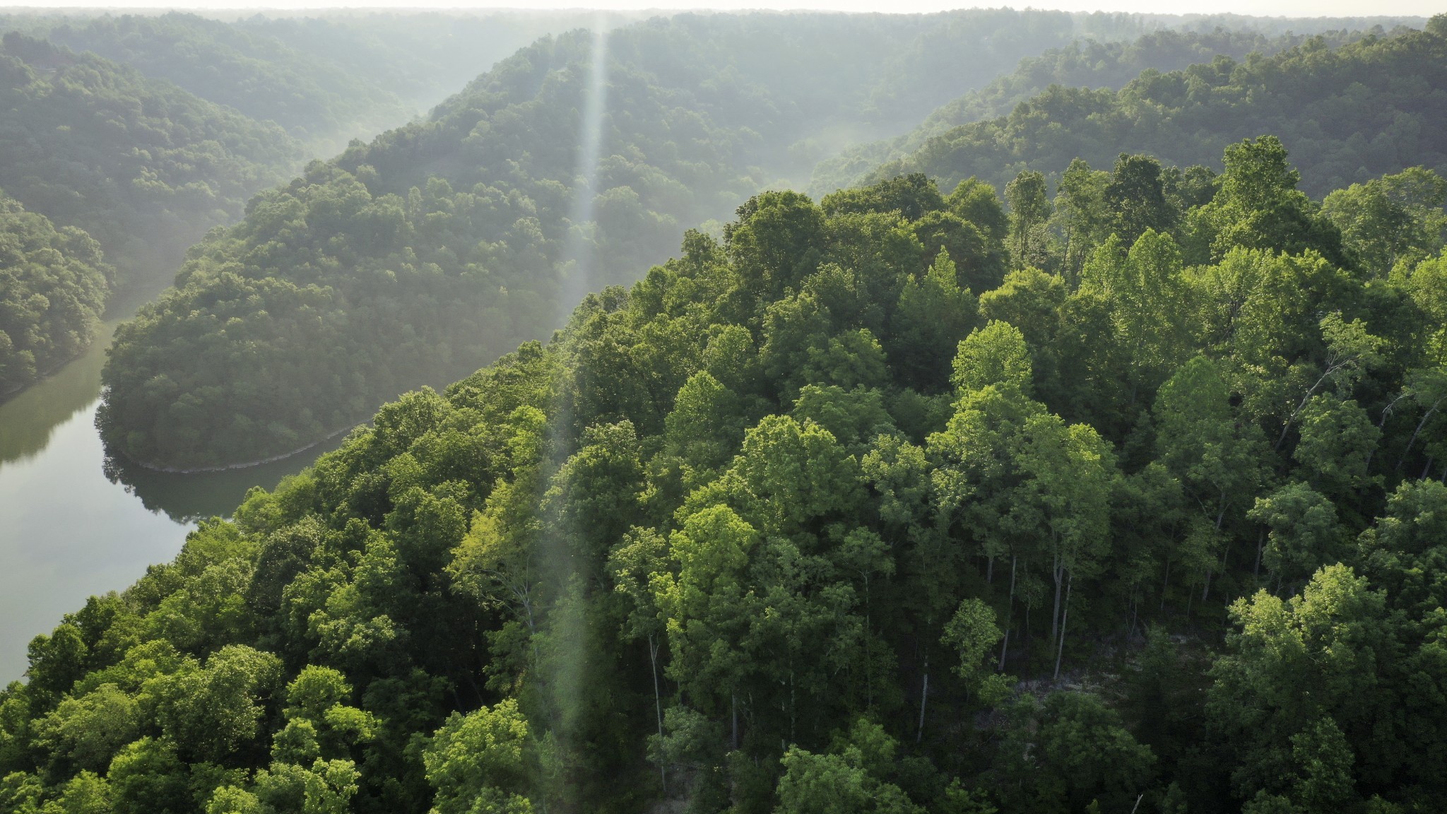 1075 Vickers Ridge Road Baxter, TN 38544 - Photo 8 of 13