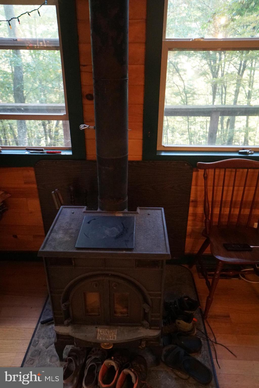 1453 Dry Run Road Franklin, WV 26807 - Photo 13 of 59