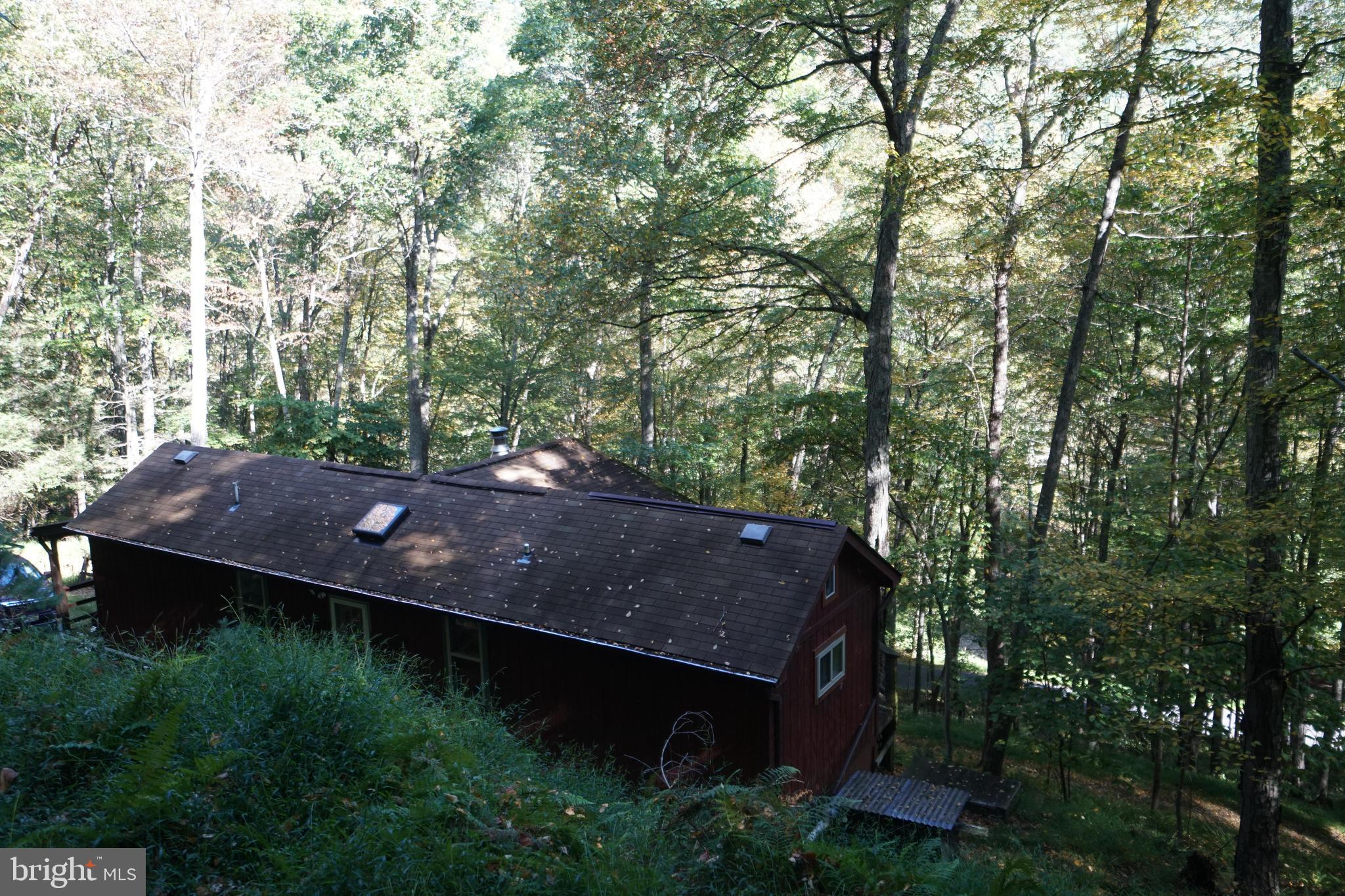 1453 Dry Run Road Franklin, WV 26807 - Photo 18 of 59