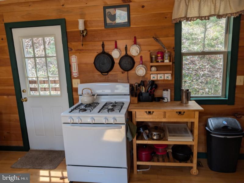 1453 Dry Run Road Franklin, WV 26807 - Photo 32 of 59