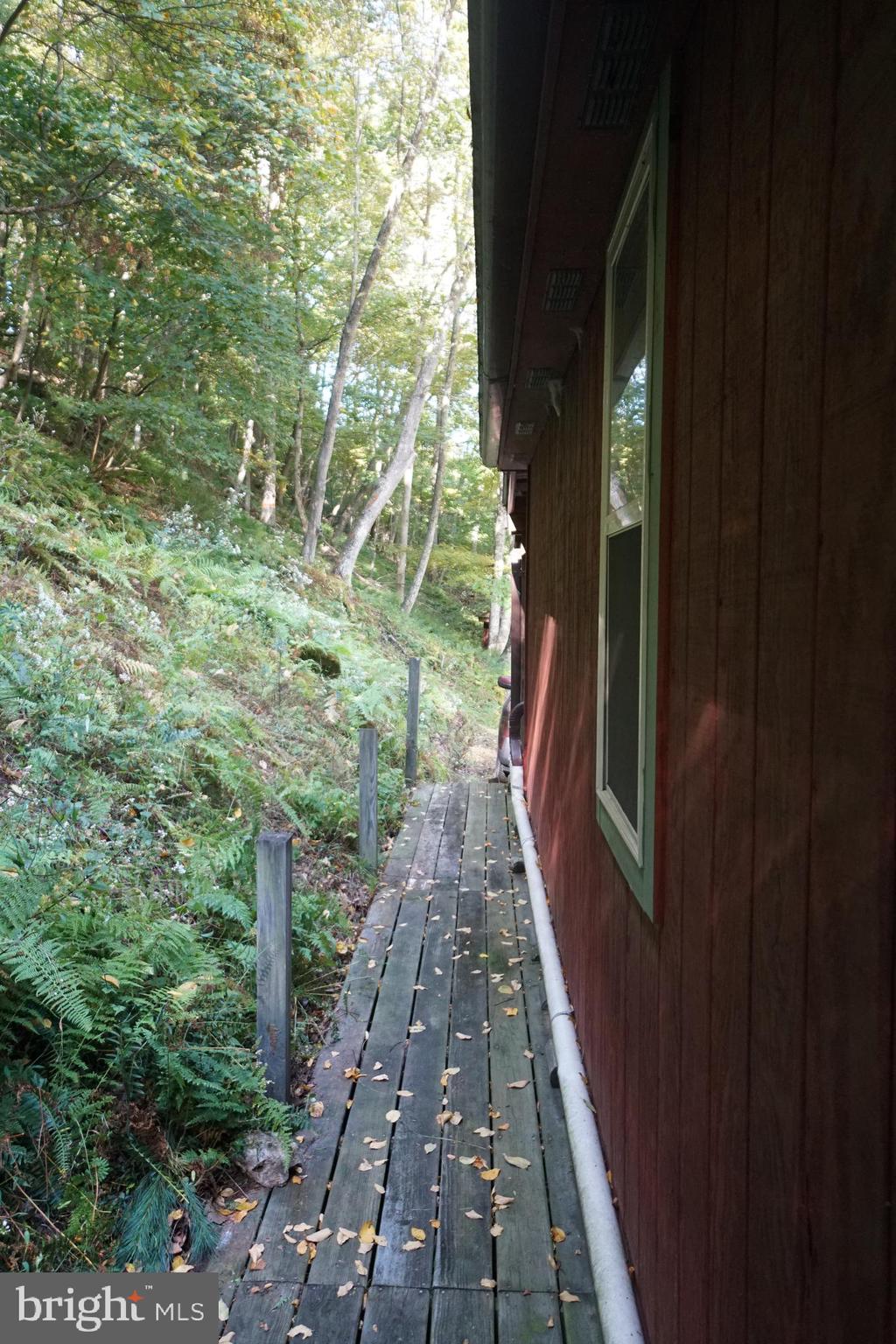 1453 Dry Run Road Franklin, WV 26807 - Photo 47 of 59