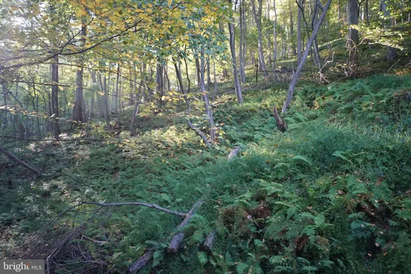 $239,000 | 1453 Dry Run Road, Franklin, WV 26807