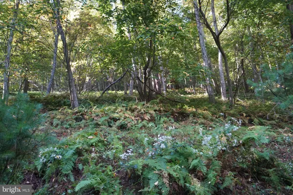 $239,000 | 1453 Dry Run Road, Franklin, WV 26807