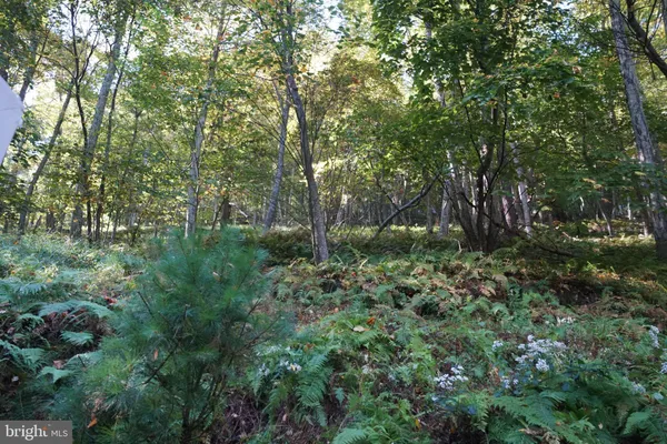 $239,000 | 1453 Dry Run Road, Franklin, WV 26807