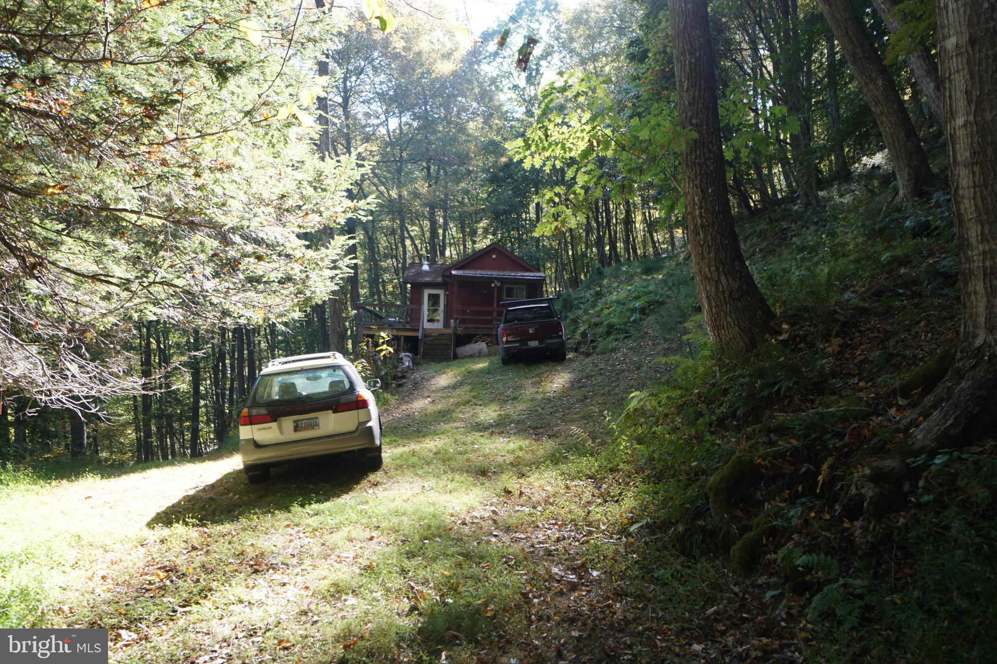 1453 Dry Run Road Franklin, WV 26807 - Photo 54 of 59