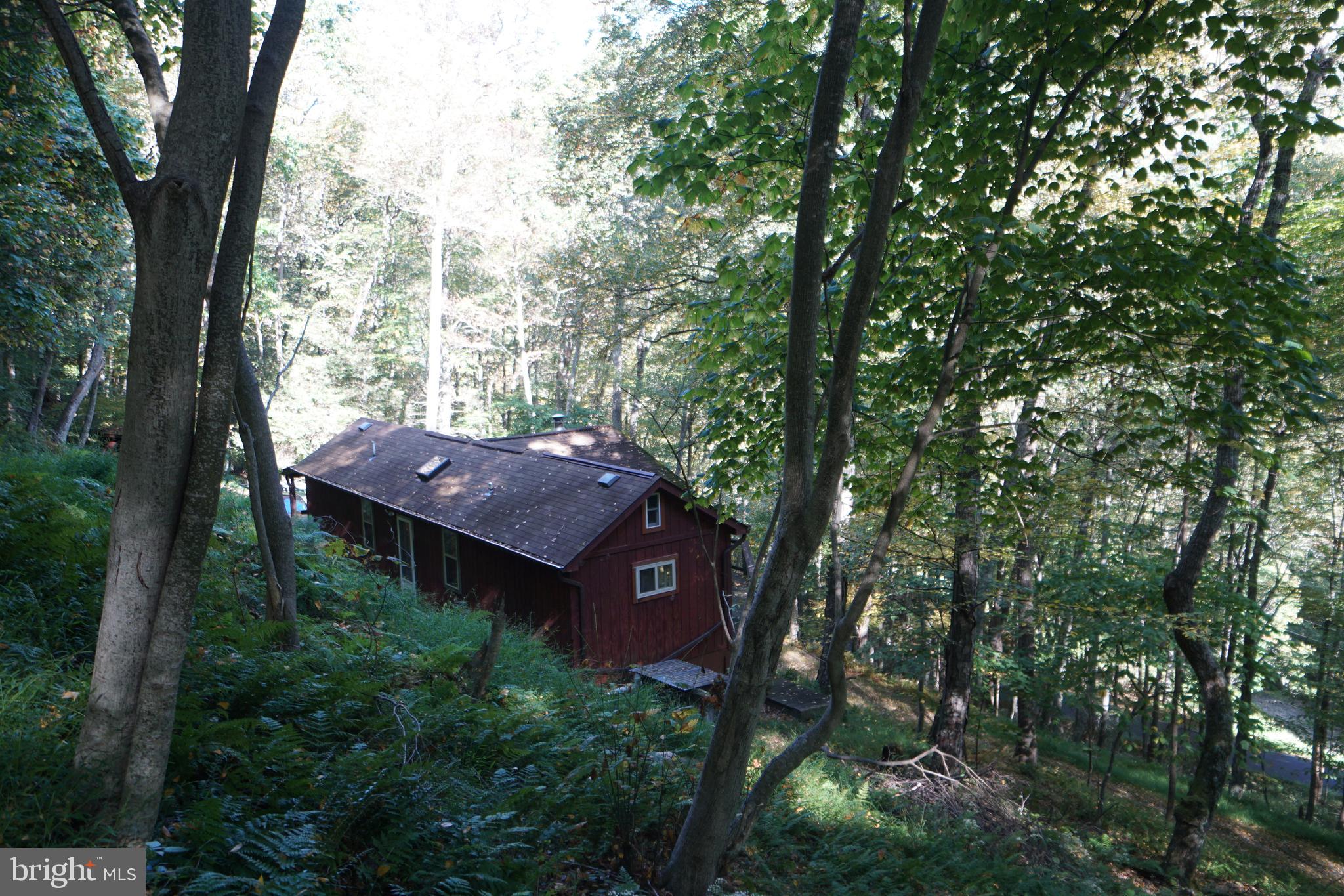 1453 Dry Run Road Franklin, WV 26807 - Photo 55 of 59