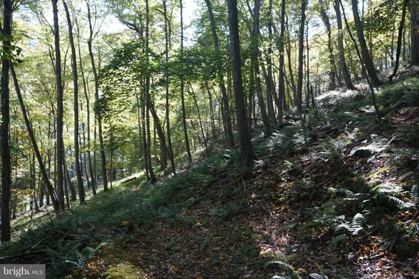 $239,000 | 1453 Dry Run Road, Franklin, WV 26807