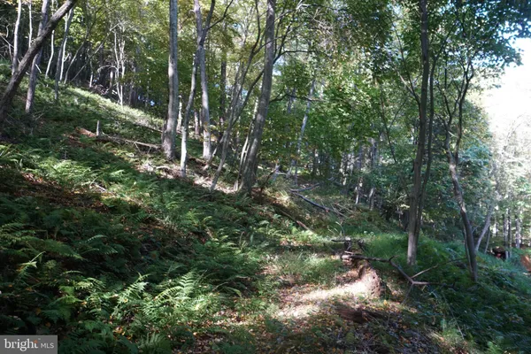 $239,000 | 1453 Dry Run Road, Franklin, WV 26807