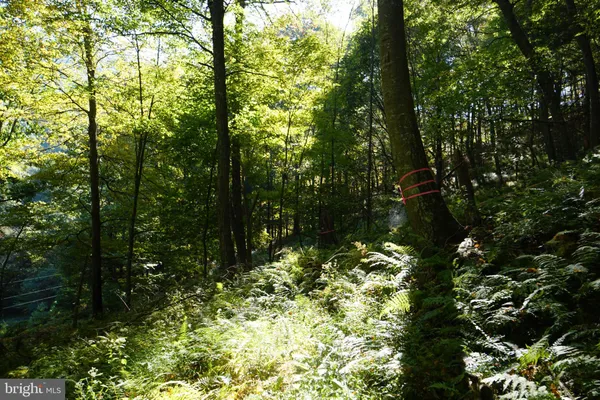 $239,000 | 1453 Dry Run Road, Franklin, WV 26807