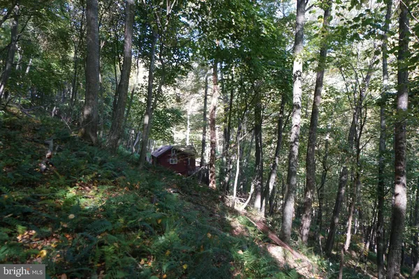 $239,000 | 1453 Dry Run Road, Franklin, WV 26807