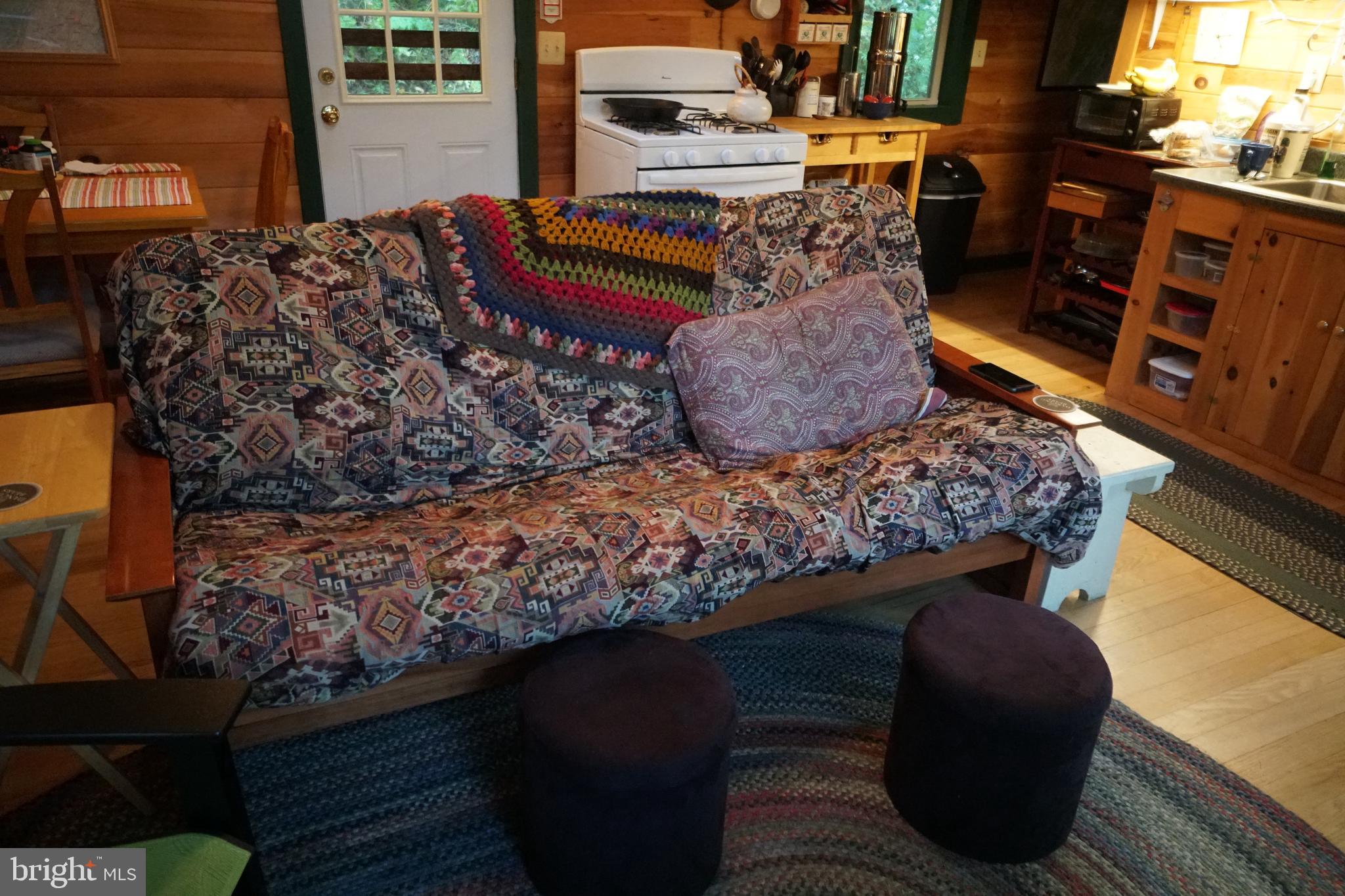 1453 Dry Run Road Franklin, WV 26807 - Photo 7 of 59