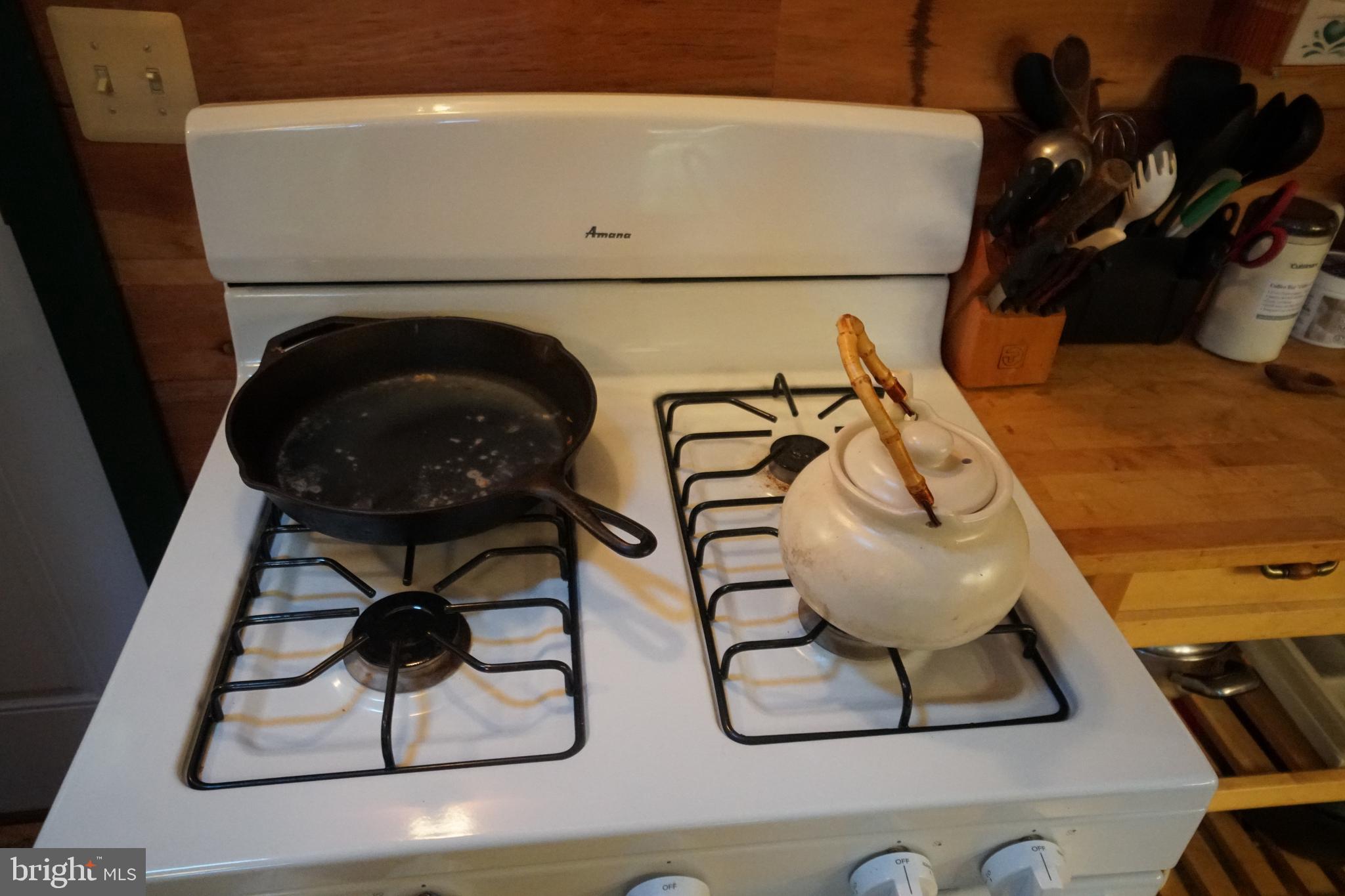 1453 Dry Run Road Franklin, WV 26807 - Photo 10 of 59