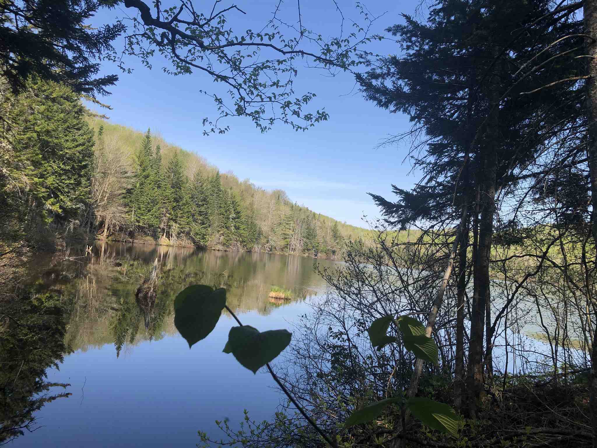 Bryant Pond Road Rumney, NH 03266 - Photo 1 of 38 Gallery Image 1